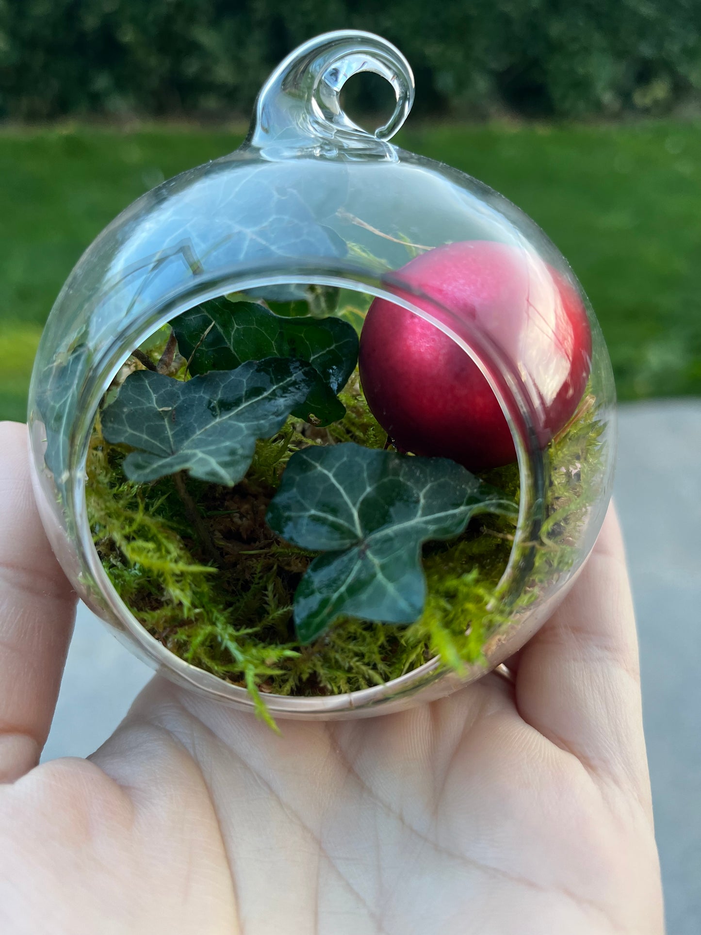 Boule de Noël végétale à suspendre