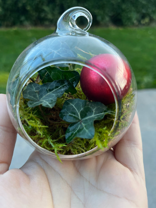 Boule de Noël végétale à suspendre